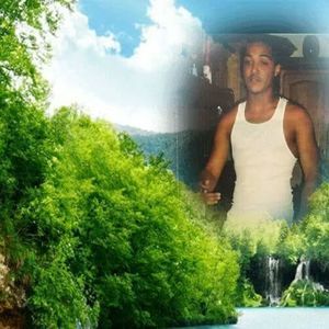 Meet your Posher, Phyllis